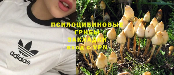 винт Михайлов
